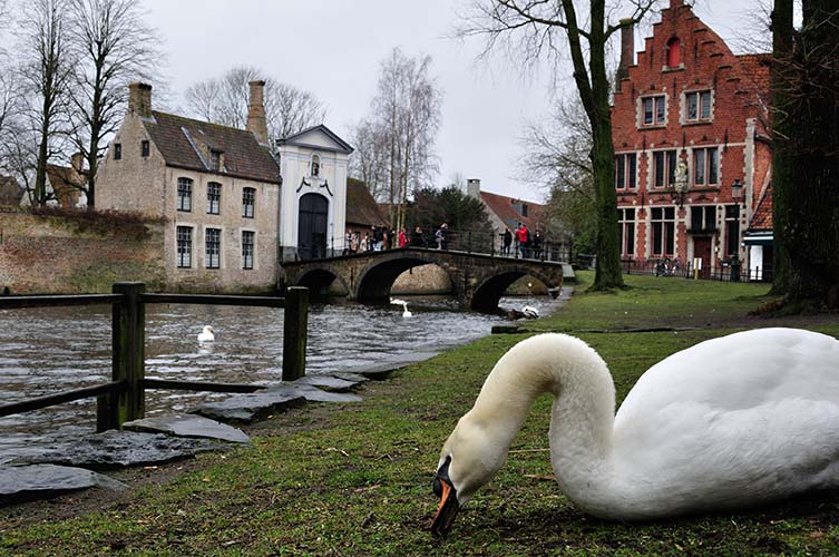 Viewpoint Wijngaardplein