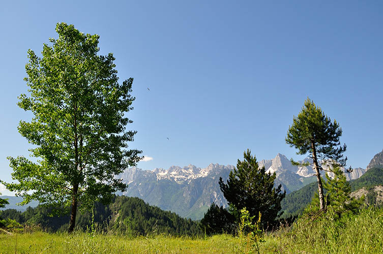 Θέα κατά μήκος του δρόμου πηγαίνοντας προς το χωριό Πάδες.