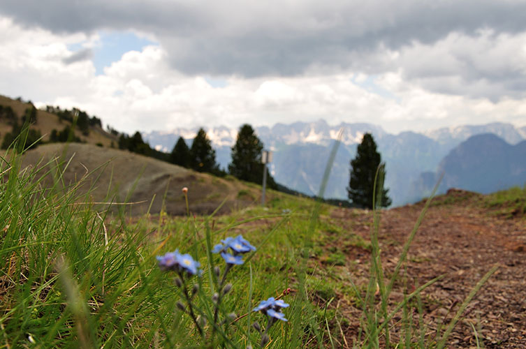 Στο βάθος η οροσειρά της Τύμφης.
