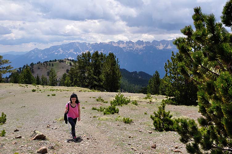 Αλλαγή του τοπίου καθώς ανεβαίνουμε στα 2000 μέτρα.