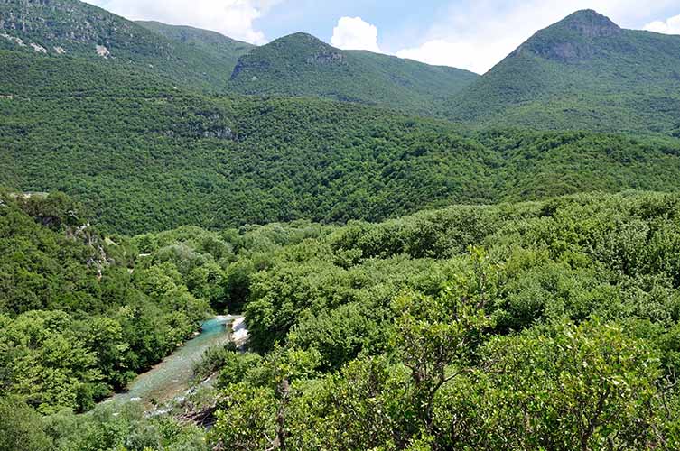 Η εικόνα από το καμπαναριό της Αγίας Παρασκευής. Μην μου πείτε ότι δεν υπάρχει ζούγκλα στην Ελλάδα!