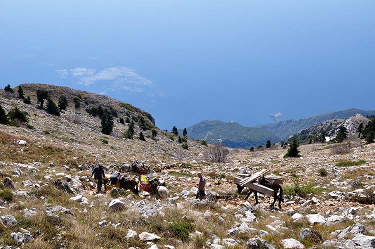 Δεν λείπουν και από εδώ οι Αλβανοί εργάτες...