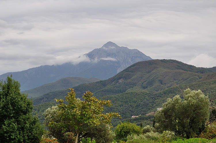 Το βουνό όπως το αντικρύσαμε από τις Καρυές.