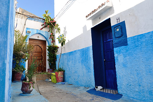 Kasbah of the Udayas - Rabat