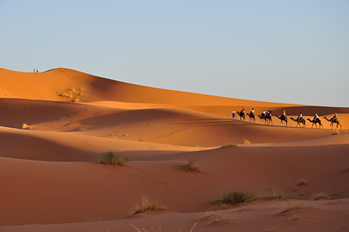 Πηγαίνοντας προς τον καταυλισμό