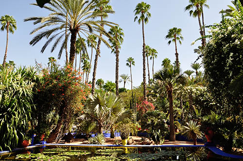 Jardin Majorelle