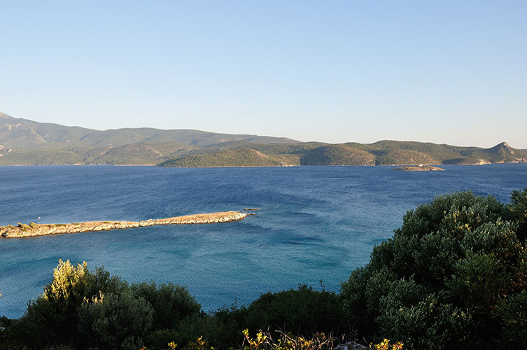 Σαν πίνακας του Βαν Γκογκ