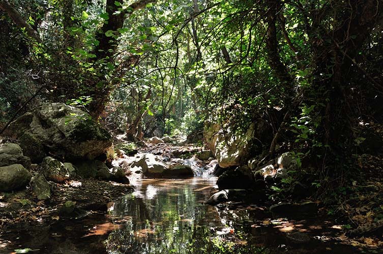 Η Σάμος θα μπορούσε να γίνει το νέο ταξιδιωτικό trend της επόμενης δεκαετίας.