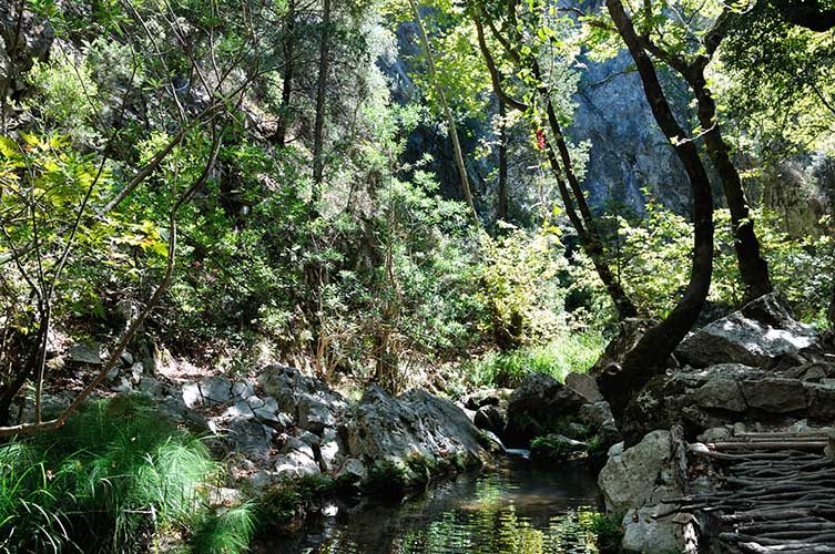 Η Σάμος θα μπορούσε να γίνει το νέο ταξιδιωτικό trend της επόμενης δεκαετίας.
