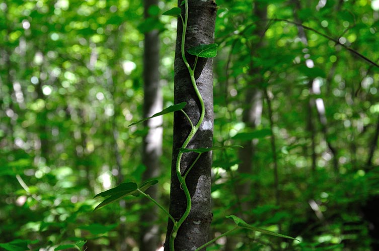 Πικ νικ στους καταρράκτες του Σκρα και στη Γαλάζια λίμνη