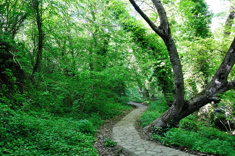 Πικ νικ στους καταρράκτες του Σκρα και στη Γαλάζια λίμνη