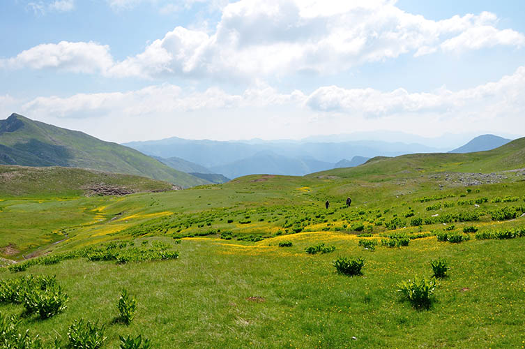 Βερλίγκα, ένα στολίδι της Ελληνικής φύσης.