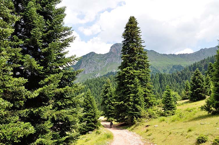 Βερλίγκα, ένα στολίδι της Ελληνικής φύσης.